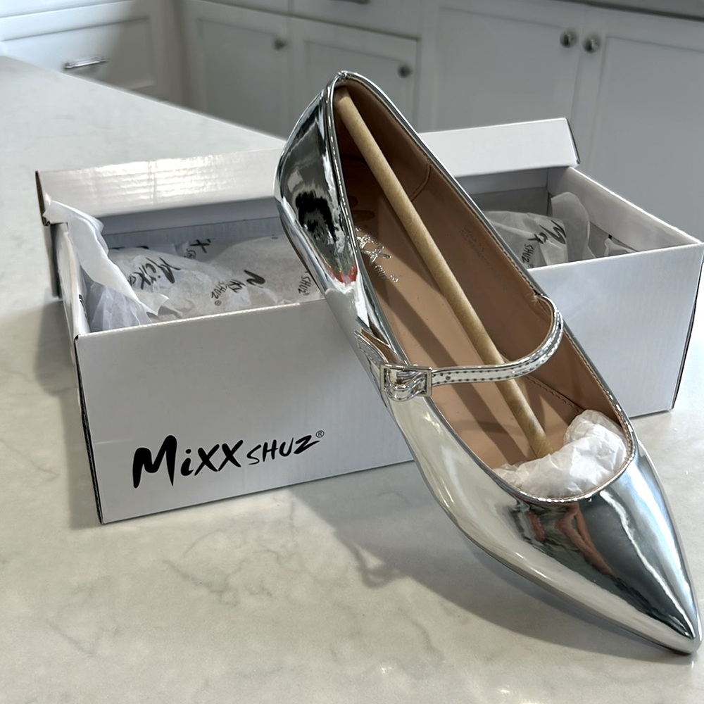 🆕 in box 🤩 so on trend 🤩 hi polish silver ballerina flats 💛💛💛 new and unused